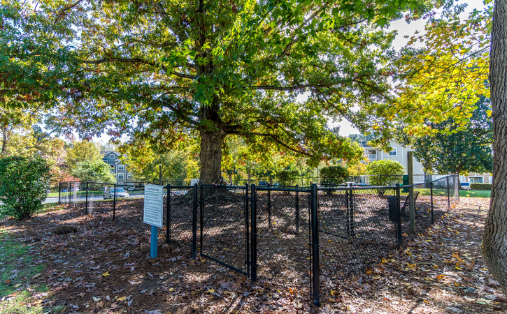 The Greens At Tryon Apartments Raleigh NC Dog Park