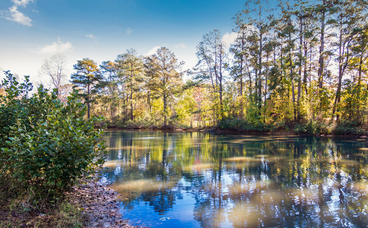 The Greens At Tryon Raleigh NC Apartments Pond